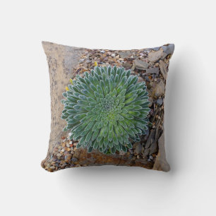 Succulent Desert plant Throw Pillow