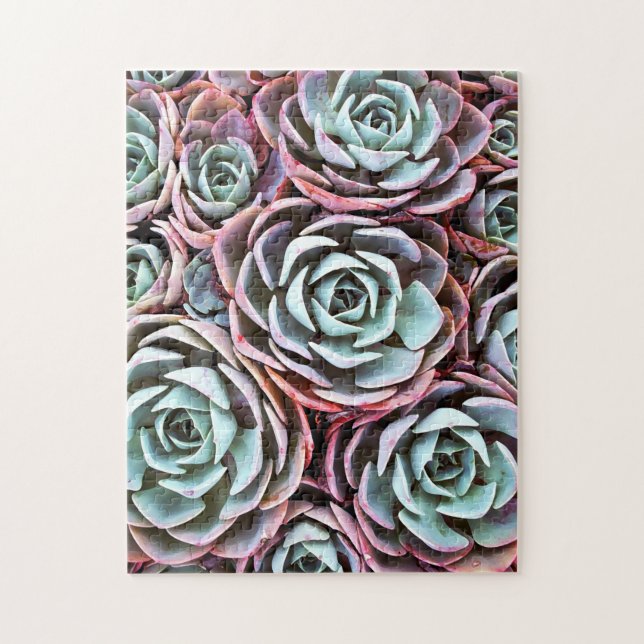 Succulent desert rose cactus colour photo 11 x 14 jigsaw puzzle (Vertical)