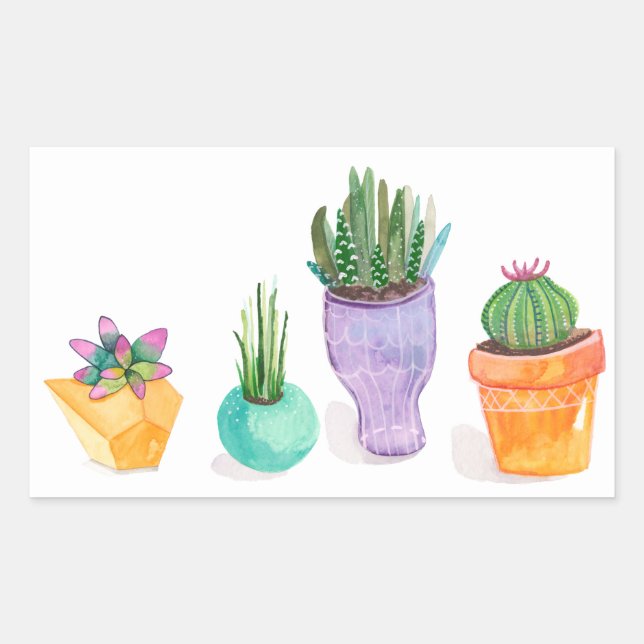Succulent Display Sticker (Front)
