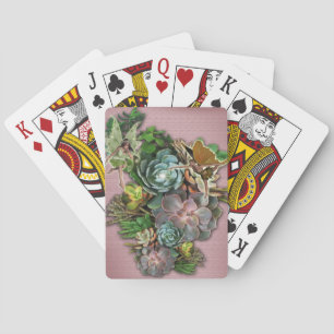 Succulent displays playing cards