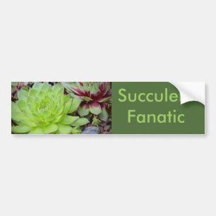 Succulent Fanatic Bumper Sticker