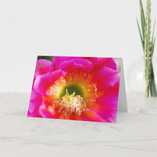 Succulent Flower Macro Card