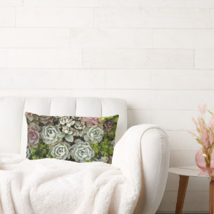 Succulent Garden 1 Lumbar Pillow