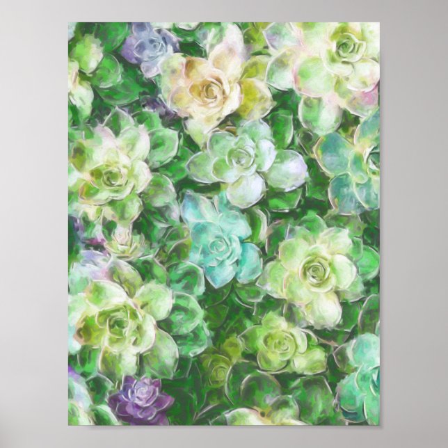 Succulent Garden by Cindy Bendel Poster (Front)