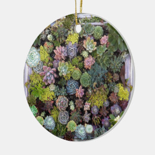 Succulent garden design ceramic ornament