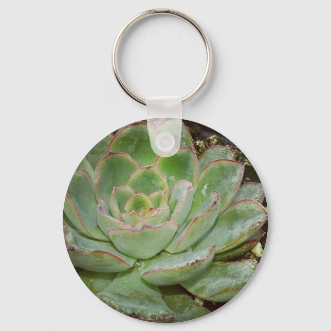 Succulent, Hen and Chicks Keychain (Front)
