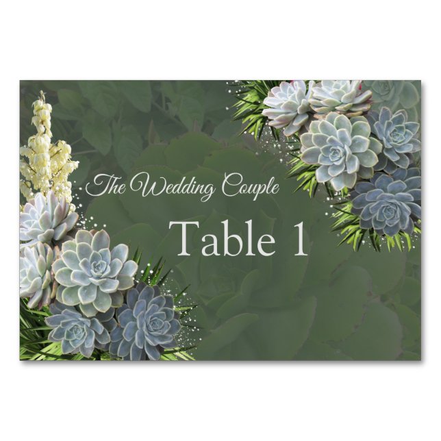 Succulent Hues of Pale BluesTable cards (Front)