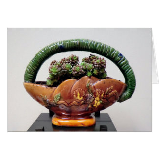 Succulent in Basket by Succulent Designs