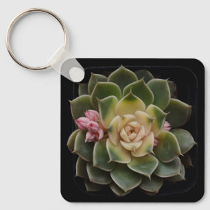 Succulent in Pot 7 Keychain
