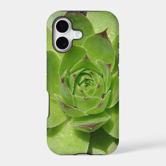 Succulent iPhone Case