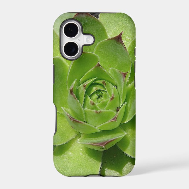 Succulent iPhone Case (Back)