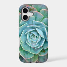 Succulent iPhone Case