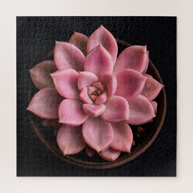 Succulent  jigsaw puzzle (Vertical)
