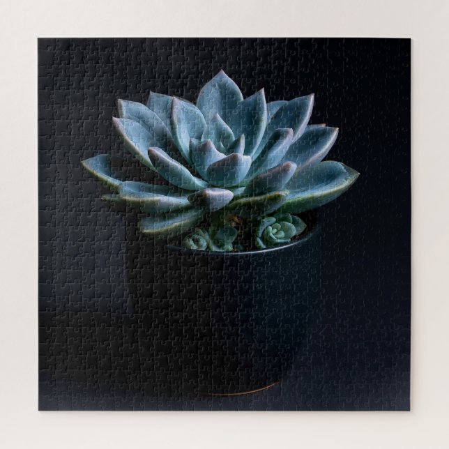 Succulent  jigsaw puzzle (Vertical)