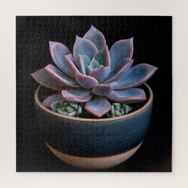 Succulent  jigsaw puzzle (Vertical)