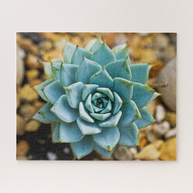Succulent Jigsaw Puzzle (Horizontal)