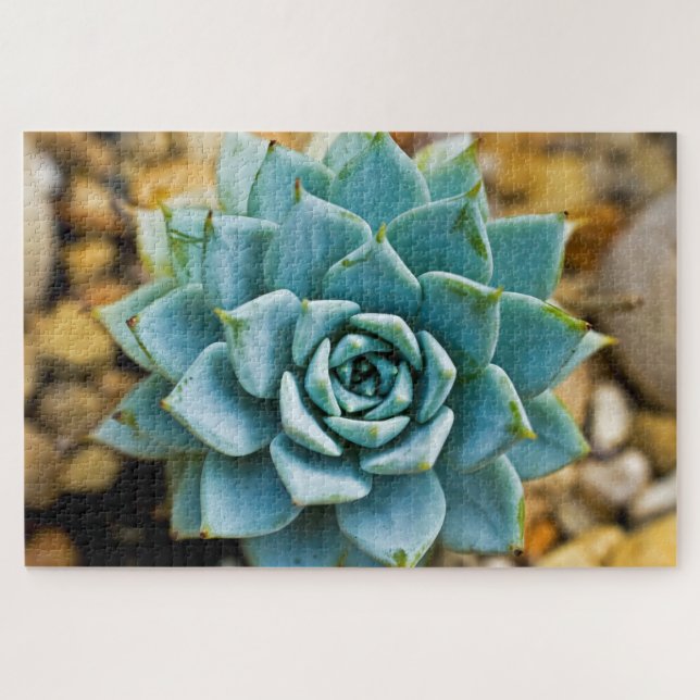 Succulent Jigsaw Puzzle (Horizontal)