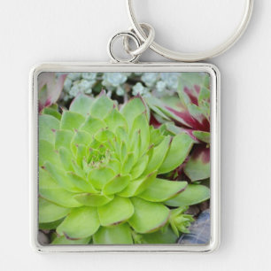 Succulent Key Chain