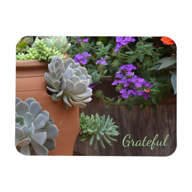 Succulent Lover Gratitude Magnet (Horizontal)