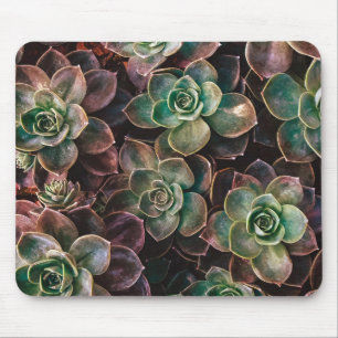 Succulent Mouse Pad