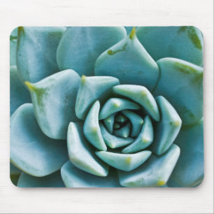 Succulent Mouse Pad