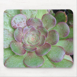 Succulent Mouse Pad