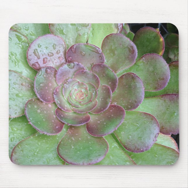 Succulent Mouse Pad (Front)