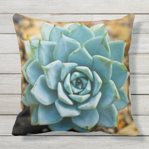 Succulent Outdoor Pillow
