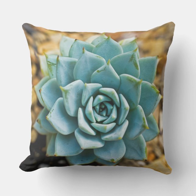Succulent Outdoor Pillow (Front)
