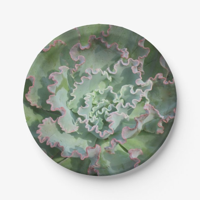 Succulent Paper Plate (Front)