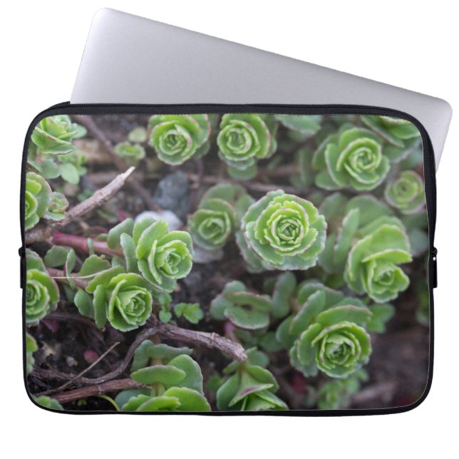 Succulent Photography Laptop Sleeve (Front)