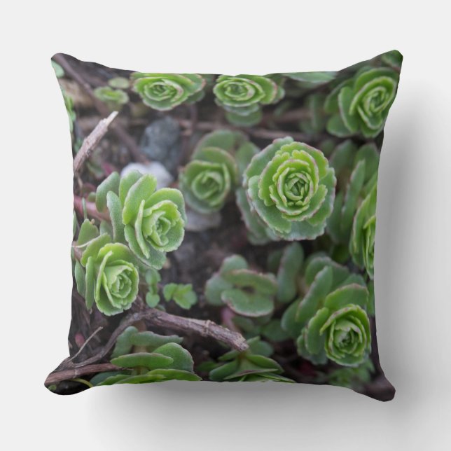 Succulent Photography Throw Pillow (Front)