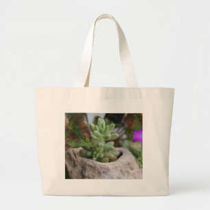Succulent Plant and Chameleon Plant Large Tote Bag