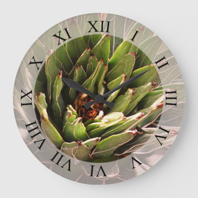 Succulent Plant Botanical Photography  Large Clock (Front)