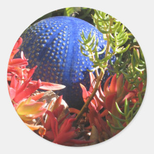Succulent Plant Garden with Orb Sticker