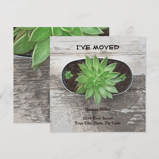 Succulent Plant I've Moved New Address Announcement (Front/Back)