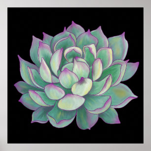 Succulent plant poster