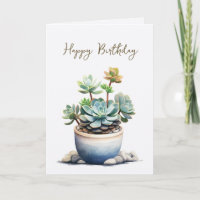 Succulent Plant with Stones Birthday