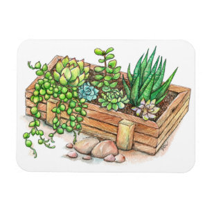 Succulent Planter Box Magnet