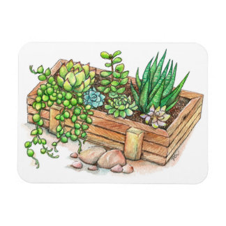 Succulent Planter Box Magnet