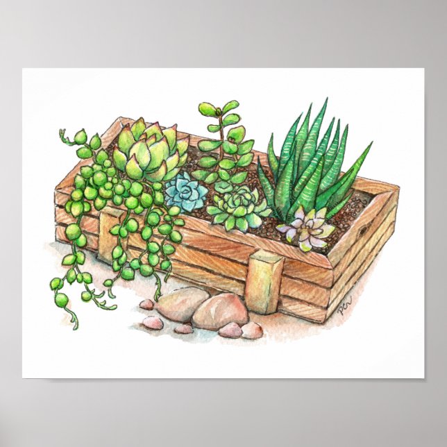 Succulent Planter Box Poster (Front)