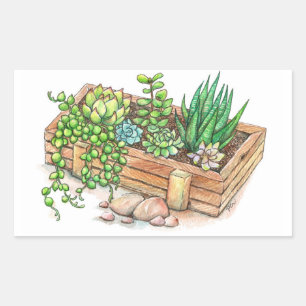 Succulent Planter Box Sticker