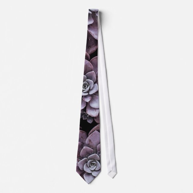 Succulent Plants Echeveria Botanical Floral Nature Tie (Front)