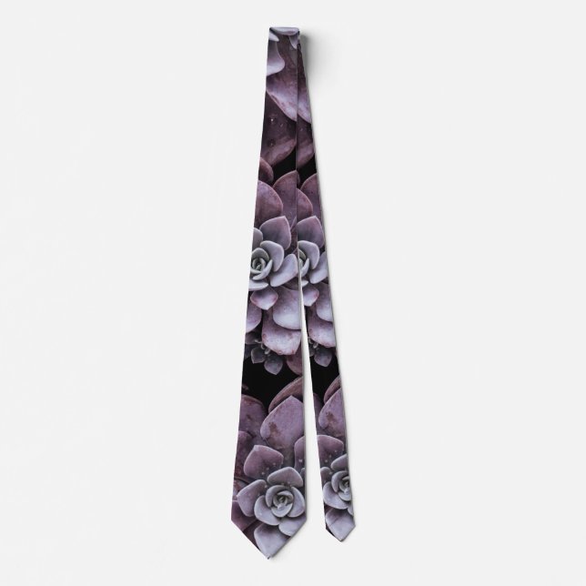 Succulent Plants Echeveria Botanical Floral Nature Tie (Front)