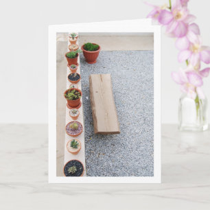 Succulent Plants on Garden Wall Portrait Card