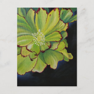 Succulent Postcard