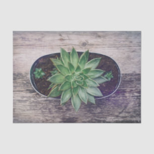 Succulent Rustic Green Art Painting Decoupage Tissue Paper