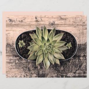 Succulent Rustic Green Vintage Botanical Decoupage