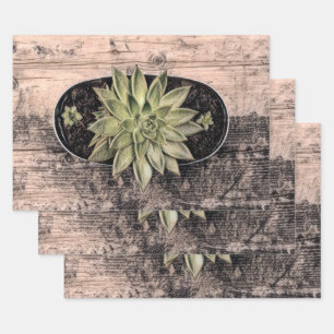 Succulent Rustic Vintage Green Botanical Decoupage Wrapping Paper Sheet