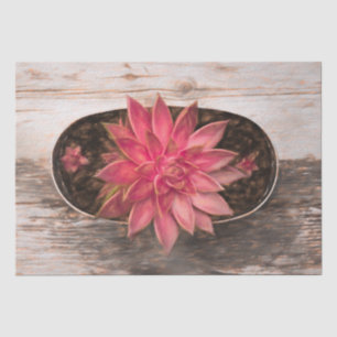 Succulent Rustic Vintage Pink Botanical Decoupage Tissue Paper